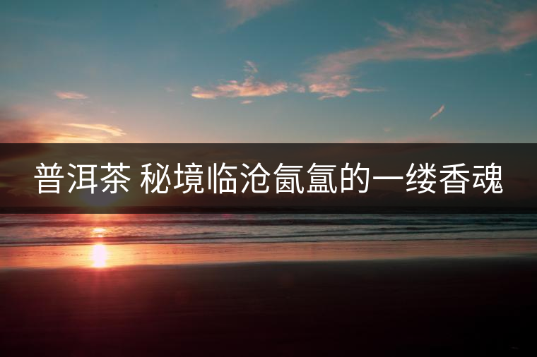 普洱茶 秘境臨滄氤氳的一縷香魂