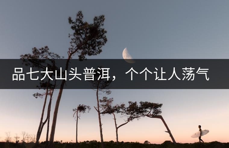 品七大山頭普洱，個(gè)個(gè)讓人蕩氣回腸