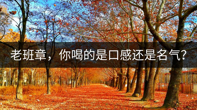 老班章，你喝的是口感還是名氣？
