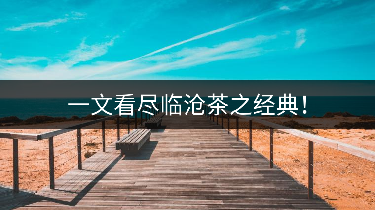 一文看盡臨滄茶之經(jīng)典！