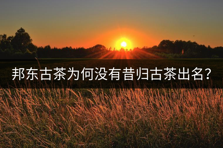 邦東古茶為何沒有昔歸古茶出名？