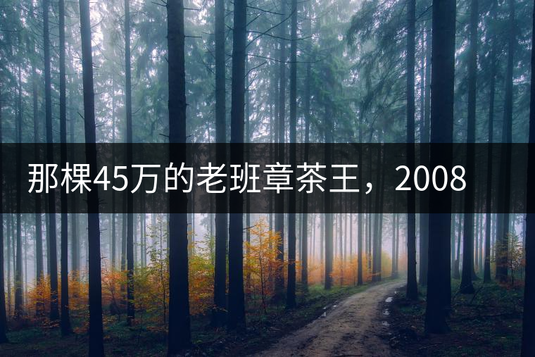 那棵45萬的老班章茶王，2008年是什么樣子的？