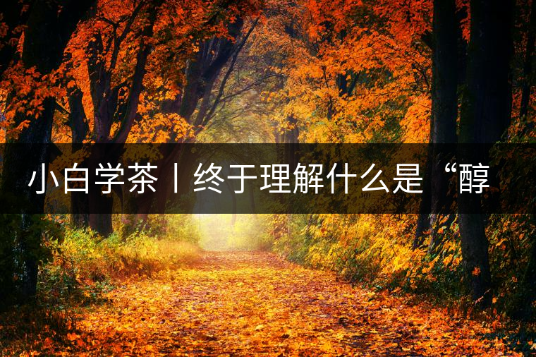 小白學(xué)茶丨終于理解什么是“醇厚、耐泡，回甘”了