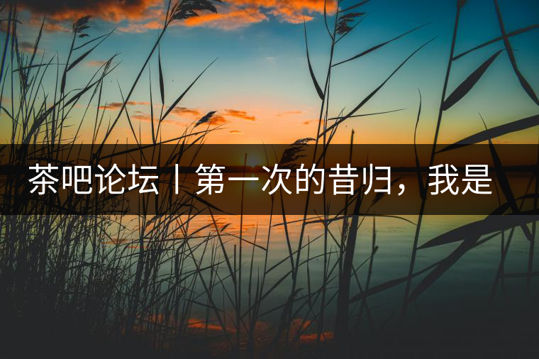 茶吧論壇丨第一次的昔歸，我是這樣喝到的