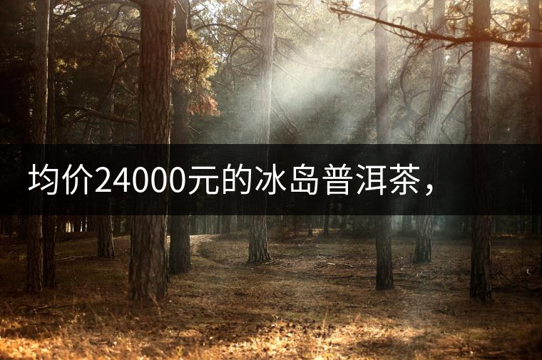 均價24000元的冰島普洱茶，不是誰都喝的出的涼感