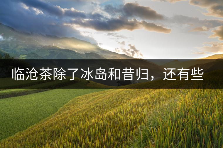 臨滄茶除了冰島和昔歸，還有些什么？