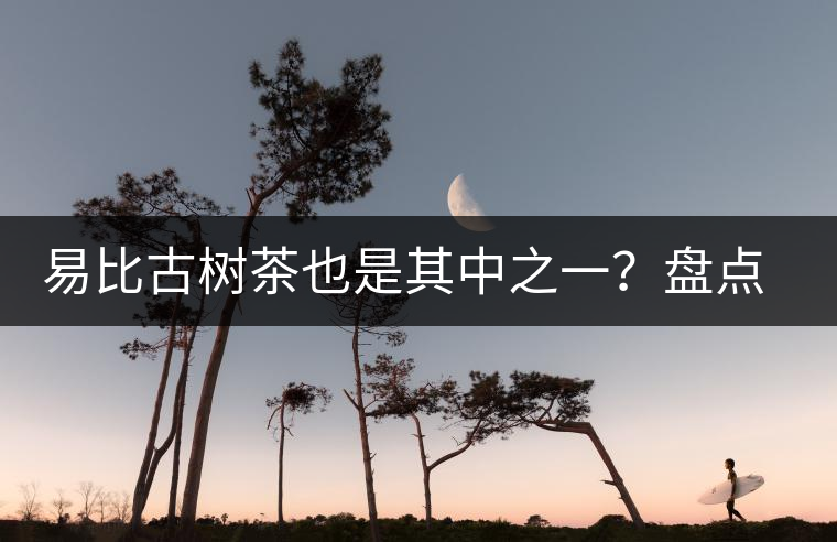 易比古樹茶也是其中之一？盤點(diǎn)當(dāng)下易武最火的十大古樹茶！