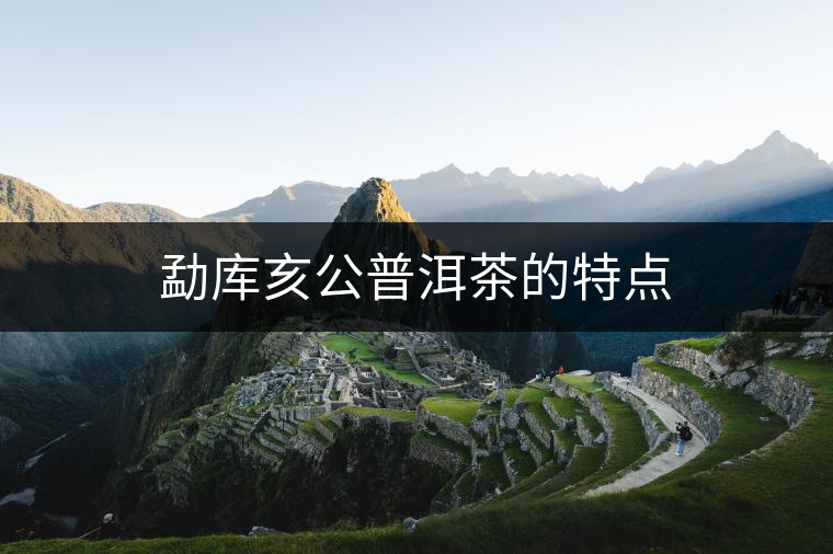勐庫亥公普洱茶的特點