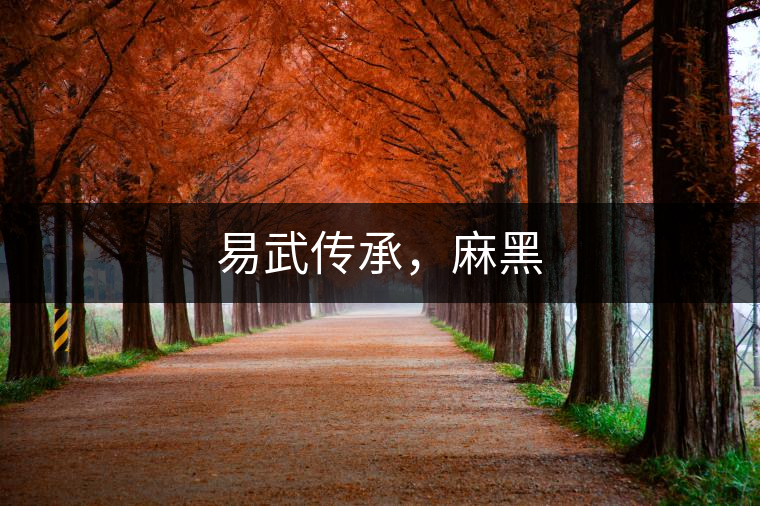 易武傳承，麻黑