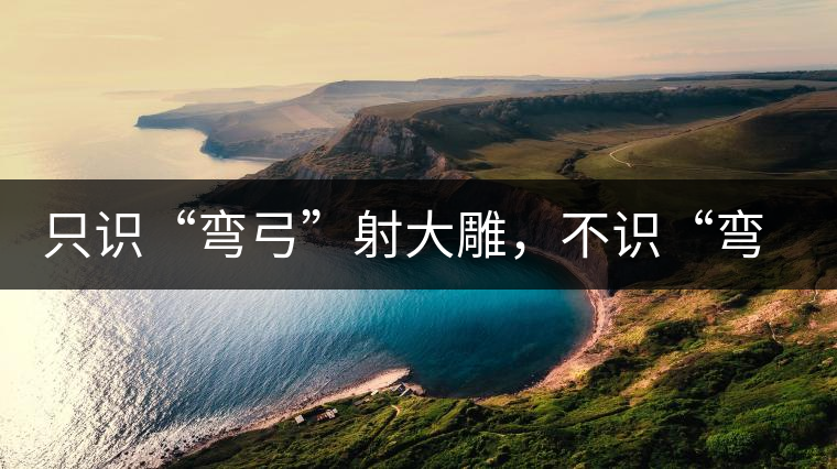 只識(shí)“彎弓”射大雕，不識(shí)“彎弓”普洱茶