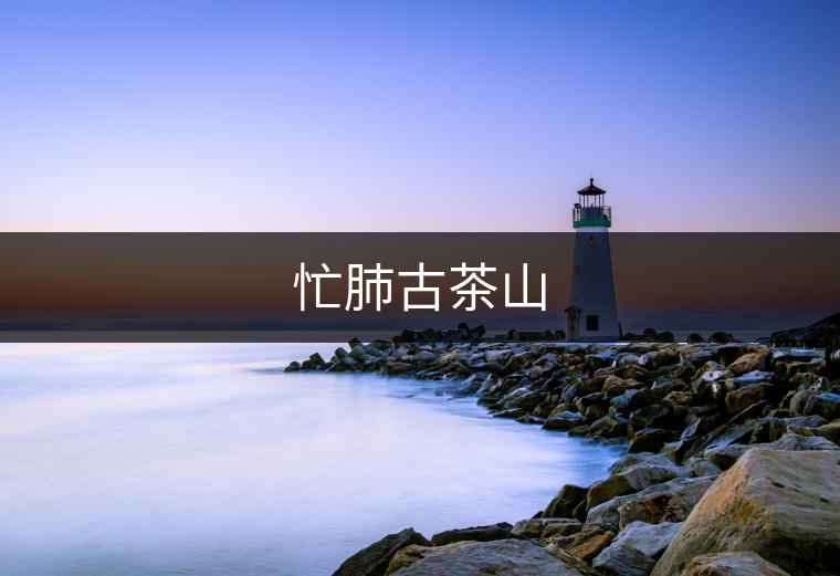 忙肺古茶山