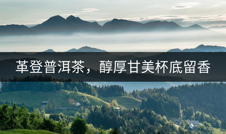 革登普洱茶，醇厚甘美杯底留香