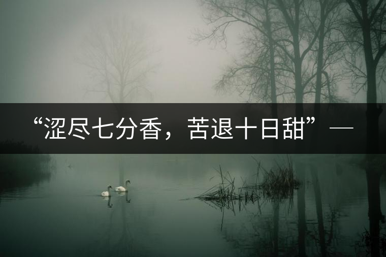 “澀盡七分香，苦退十日甜”─ 老曼娥