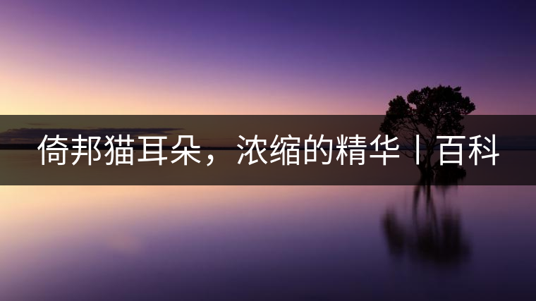 倚邦貓耳朵，濃縮的精華丨百科