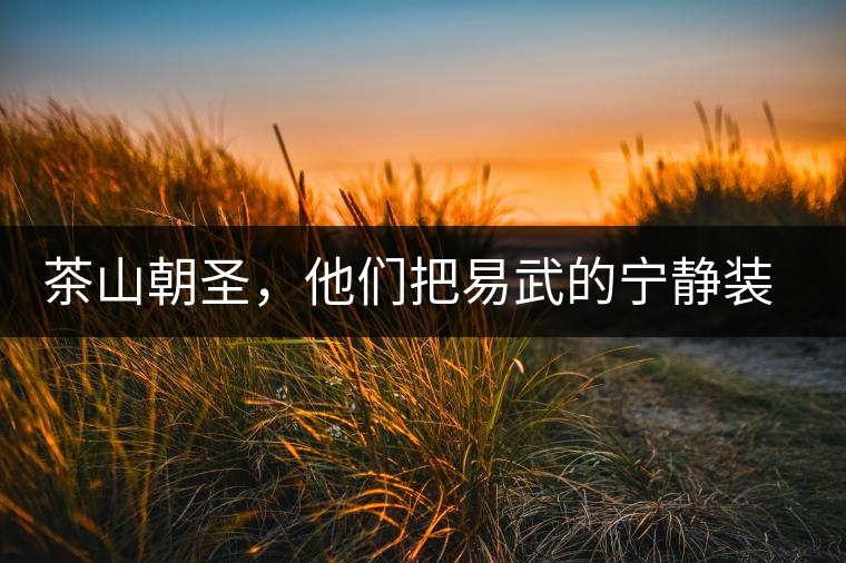 茶山朝圣，他們把易武的寧靜裝進心里，卻把成堆垃圾留在