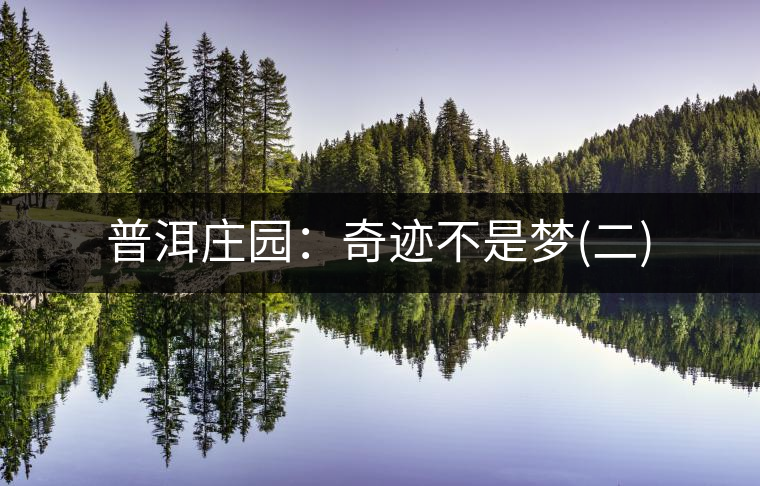 普洱莊園：奇跡不是夢(mèng)(二)