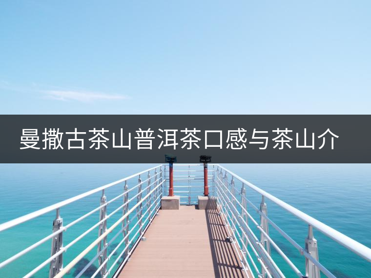 曼撒古茶山普洱茶口感與茶山介紹