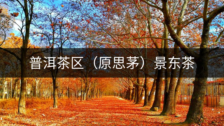 普洱茶區(qū)(原思茅)景東茶 普洱茶區(qū)(原思茅)景東茶