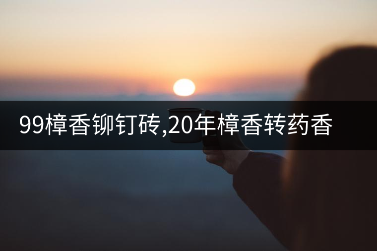99樟香鉚釘磚,20年樟香轉(zhuǎn)藥香老茶頭,厚重飽滿溫潤綿長,一款口感醇厚的老牌茶品！