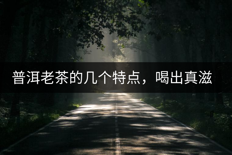 普洱老茶的幾個特點，喝出真滋味