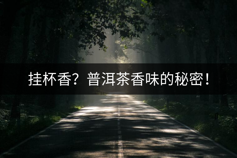 掛杯香？普洱茶香味的秘密！