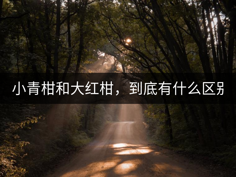 小青柑和大紅柑，到底有什么區(qū)別？