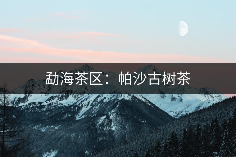 勐海茶區(qū)：帕沙古樹茶