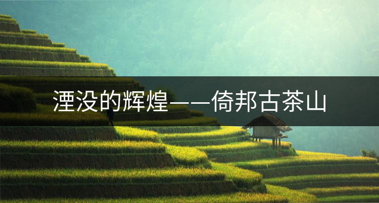 湮沒的輝煌——倚邦古茶山