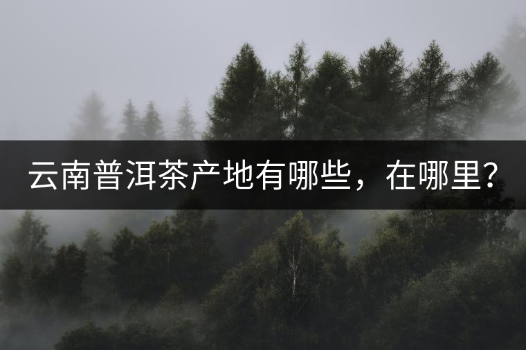 云南普洱茶產(chǎn)地有哪些，在哪里？