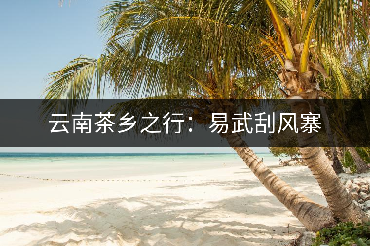 云南茶鄉(xiāng)之行：易武刮風寨