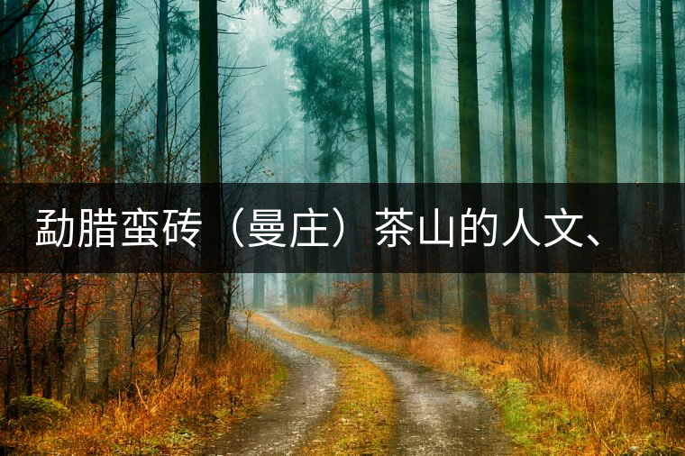 勐臘蠻磚（曼莊）茶山的人文、生態(tài)