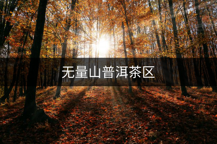 無(wú)量山普洱茶區(qū)