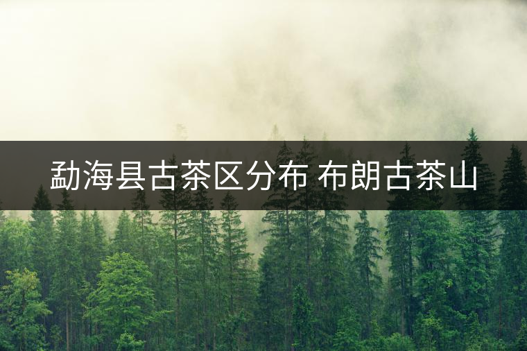 勐?？h古茶區(qū)分布 布朗古茶山