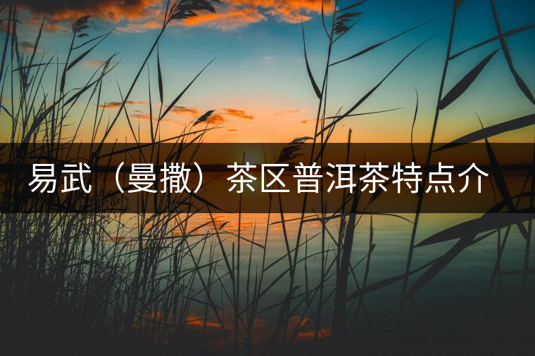 易武（曼撒）茶區(qū)普洱茶特點介紹