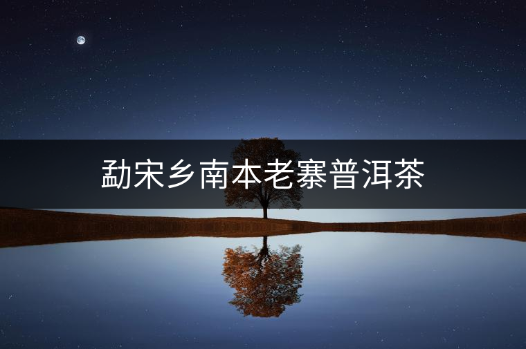 勐宋鄉(xiāng)南本老寨普洱茶