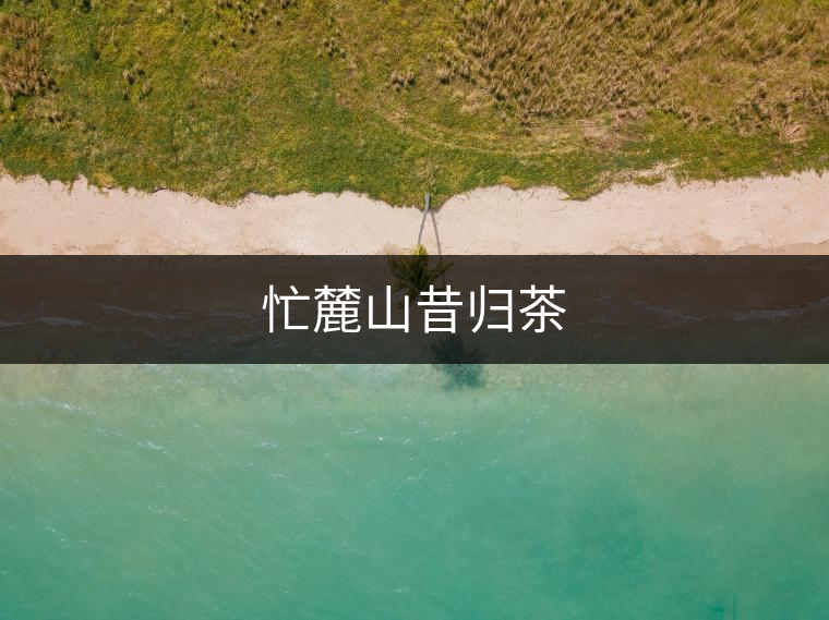 忙麓山昔歸茶