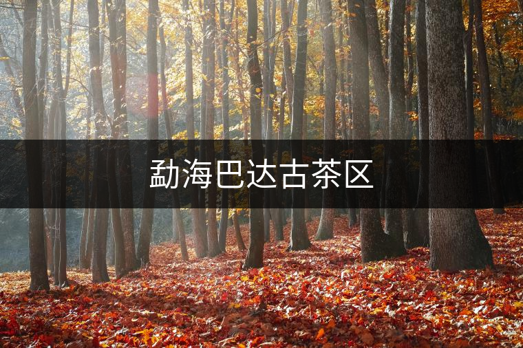 勐海巴達古茶區(qū)