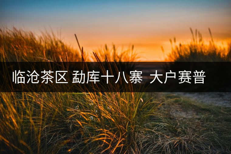 臨滄茶區(qū) 勐庫(kù)十八寨 大戶賽普洱茶 臨滄茶區(qū) 勐庫(kù)十八寨 大戶賽普洱茶