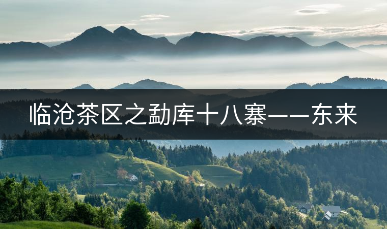 臨滄茶區(qū)之勐庫(kù)十八寨——東來