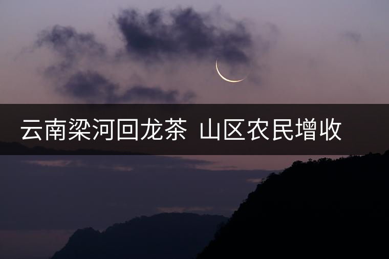 云南梁河回龍茶 山區(qū)農(nóng)民增收的富民產(chǎn)業(yè) 云南梁河回龍茶 山區(qū)農(nóng)民增收的富民產(chǎn)業(yè)