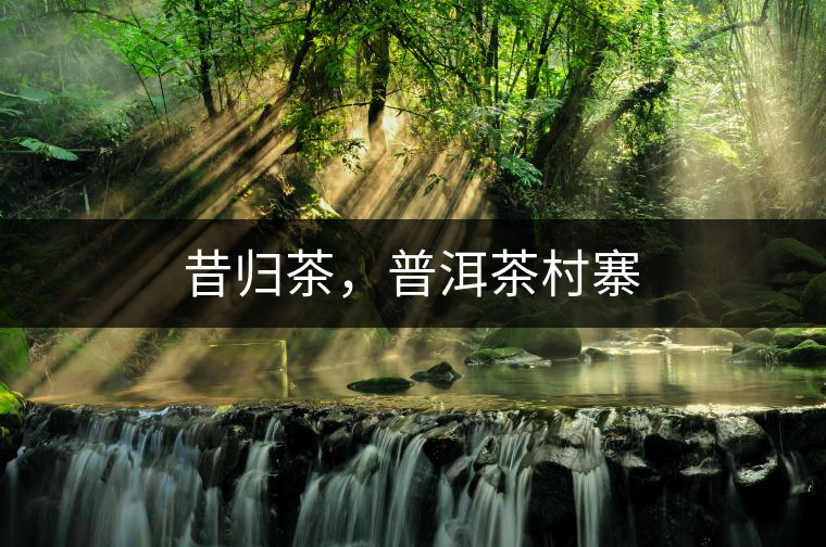 昔歸茶，普洱茶村寨