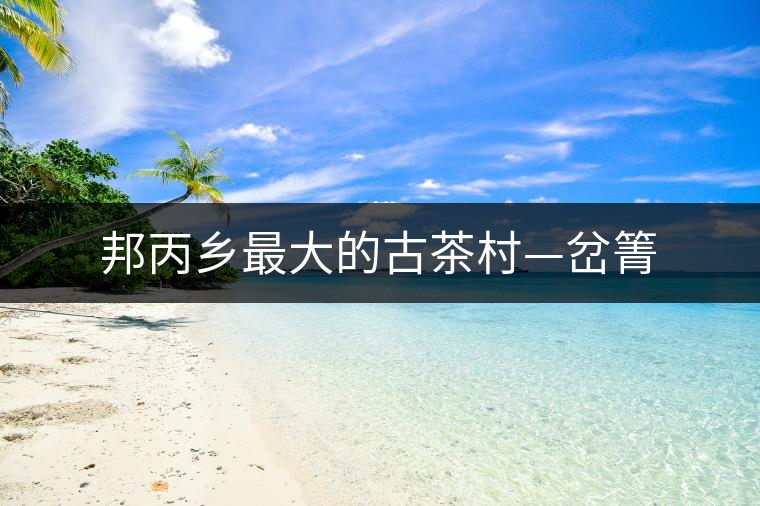 邦丙鄉(xiāng)最大的古茶村—岔箐