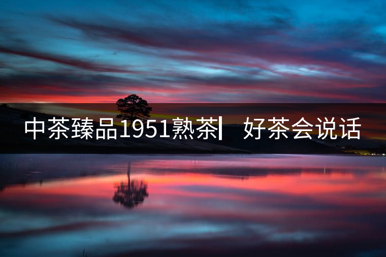 中茶臻品1951熟茶▏好茶會說話