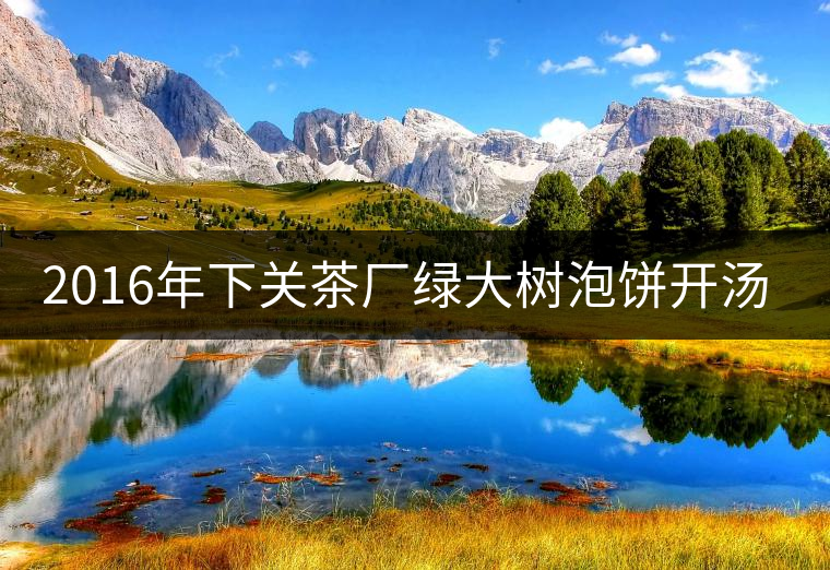 2016年下關(guān)茶廠綠大樹泡餅開湯品鑒