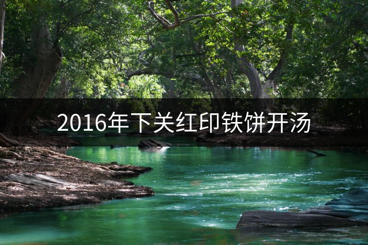 2016年下關(guān)紅印鐵餅開湯