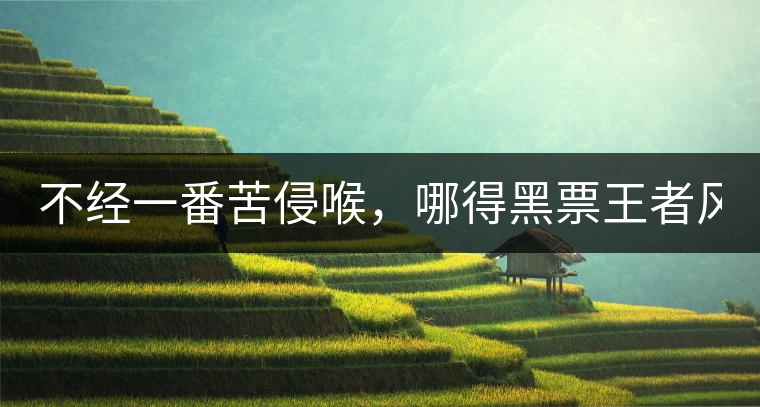 不經(jīng)一番苦侵喉，哪得黑票王者風(fēng)！