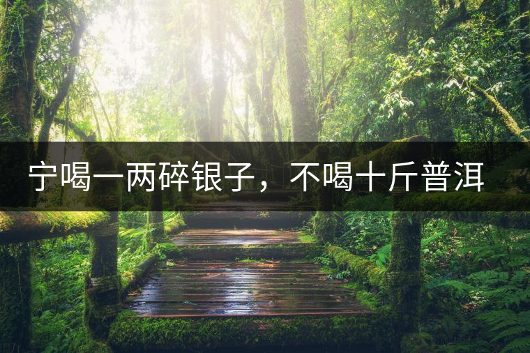寧喝一兩碎銀子，不喝十斤普洱茶