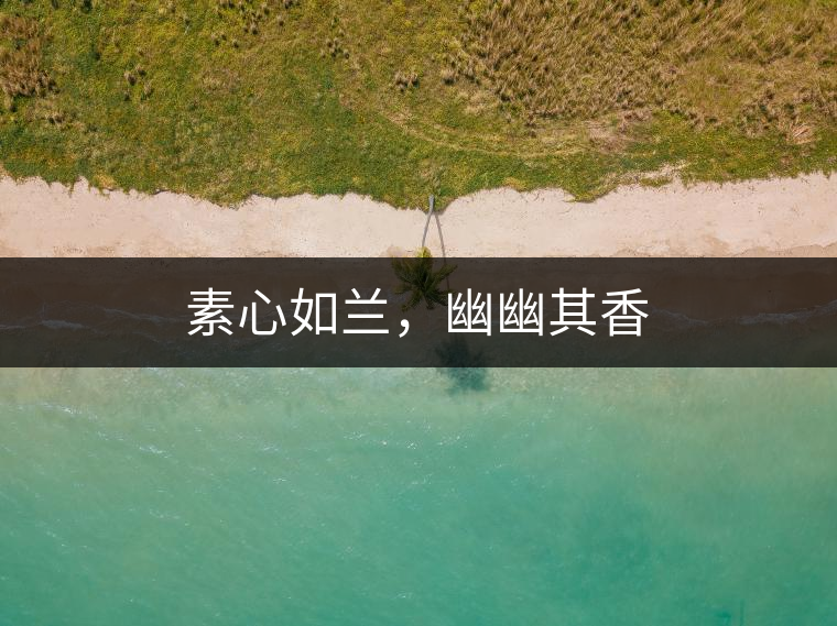 素心如蘭，幽幽其香