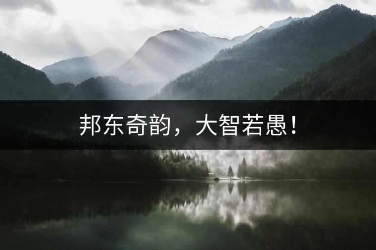 邦東奇韻，大智若愚！