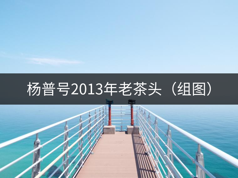 楊普號(hào)2013年老茶頭（組圖）